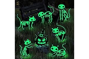 Halloween Decorations Outside for Kids, Glow in The Dark Pumpkin and Skeleton Yard Signs