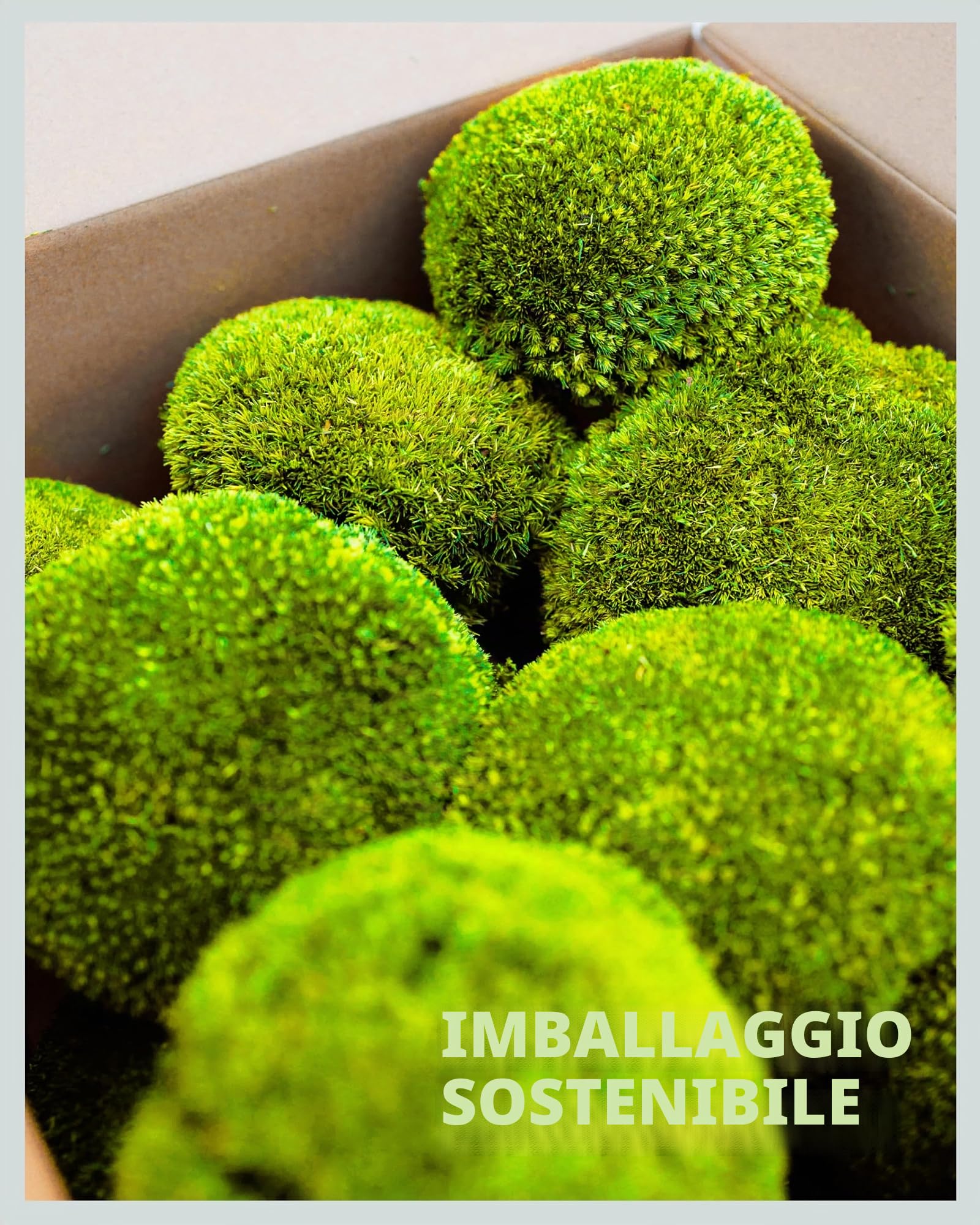 Mia Milano I Muschio Sferico Conservato Verde Chiaro I Muschio Naturale Islandese I Decorazione e Artigianato I 250 g