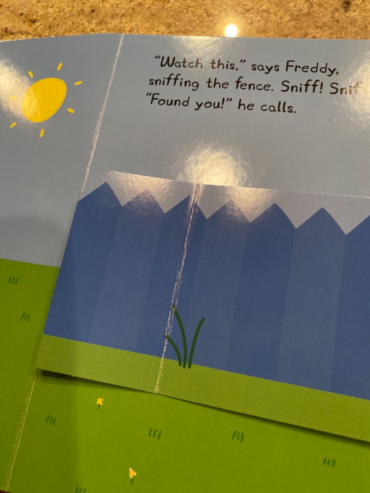 Peppa Pig: Hide and Peek: A Lift-the-Flap book: Neville Astley ...