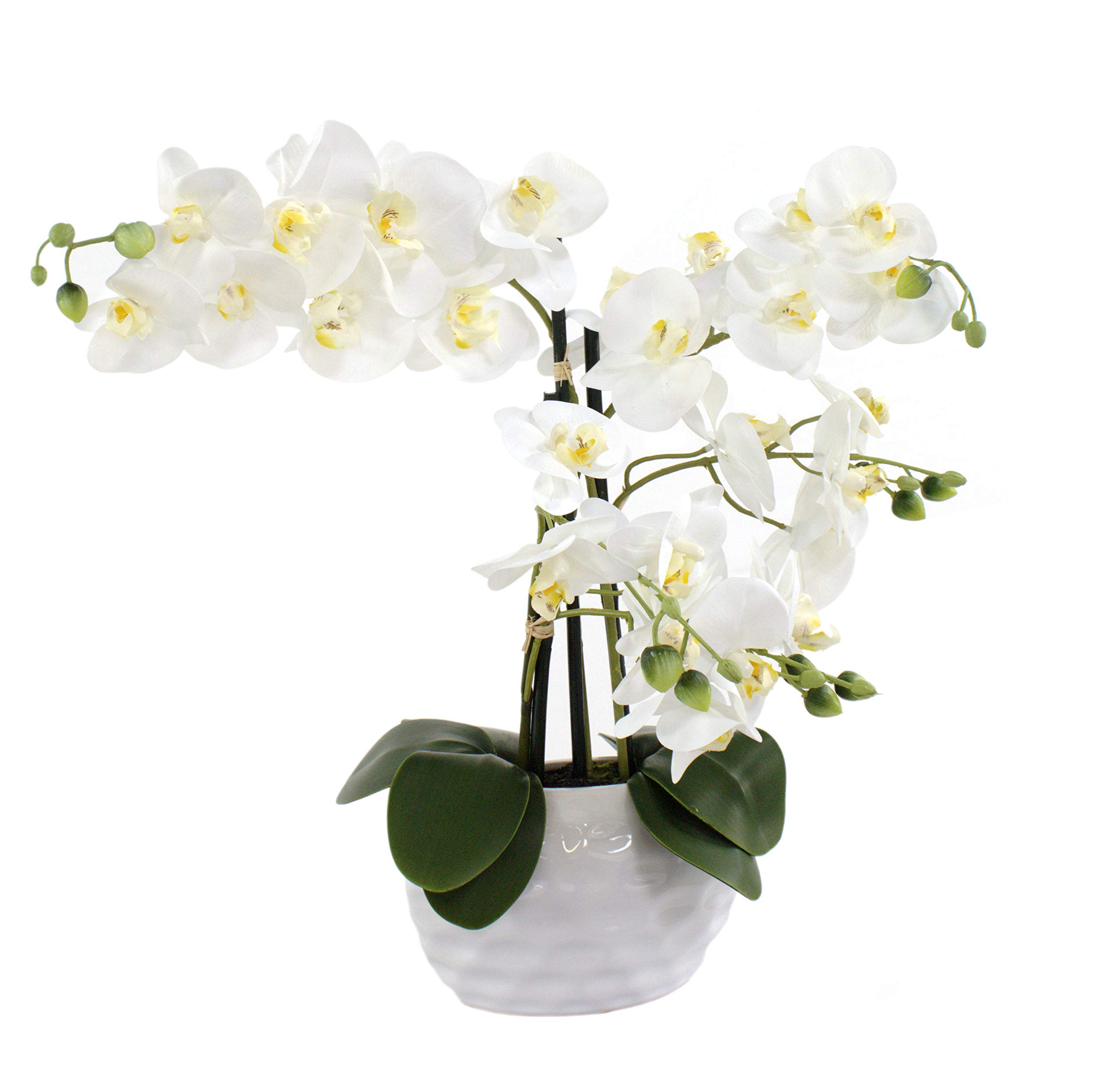 Kunstpflanze Orchidee XL mit Keramiktopf - ca. 53cm hoch (Blüten weiß - Topf weiß)