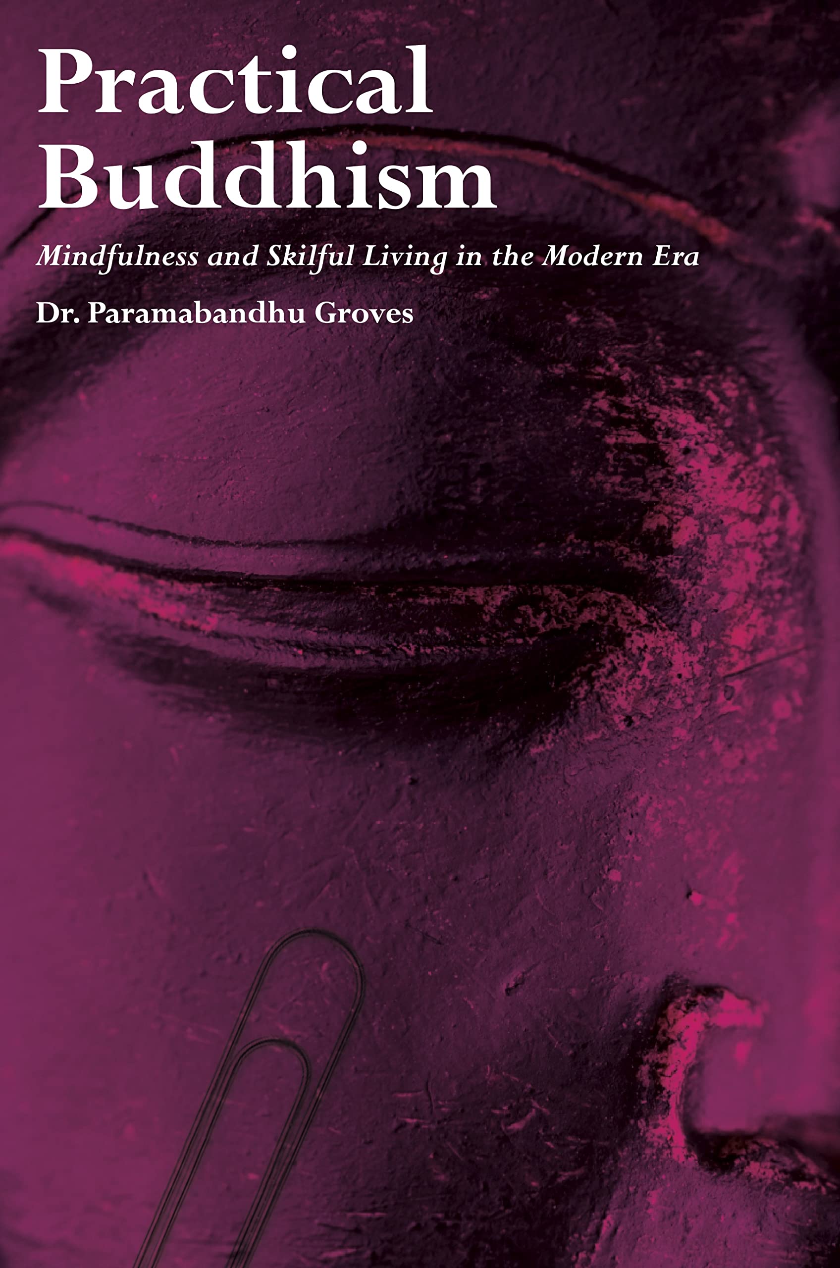 Practical Buddhism: Mindfulness and Skilful Living in the Modern Era