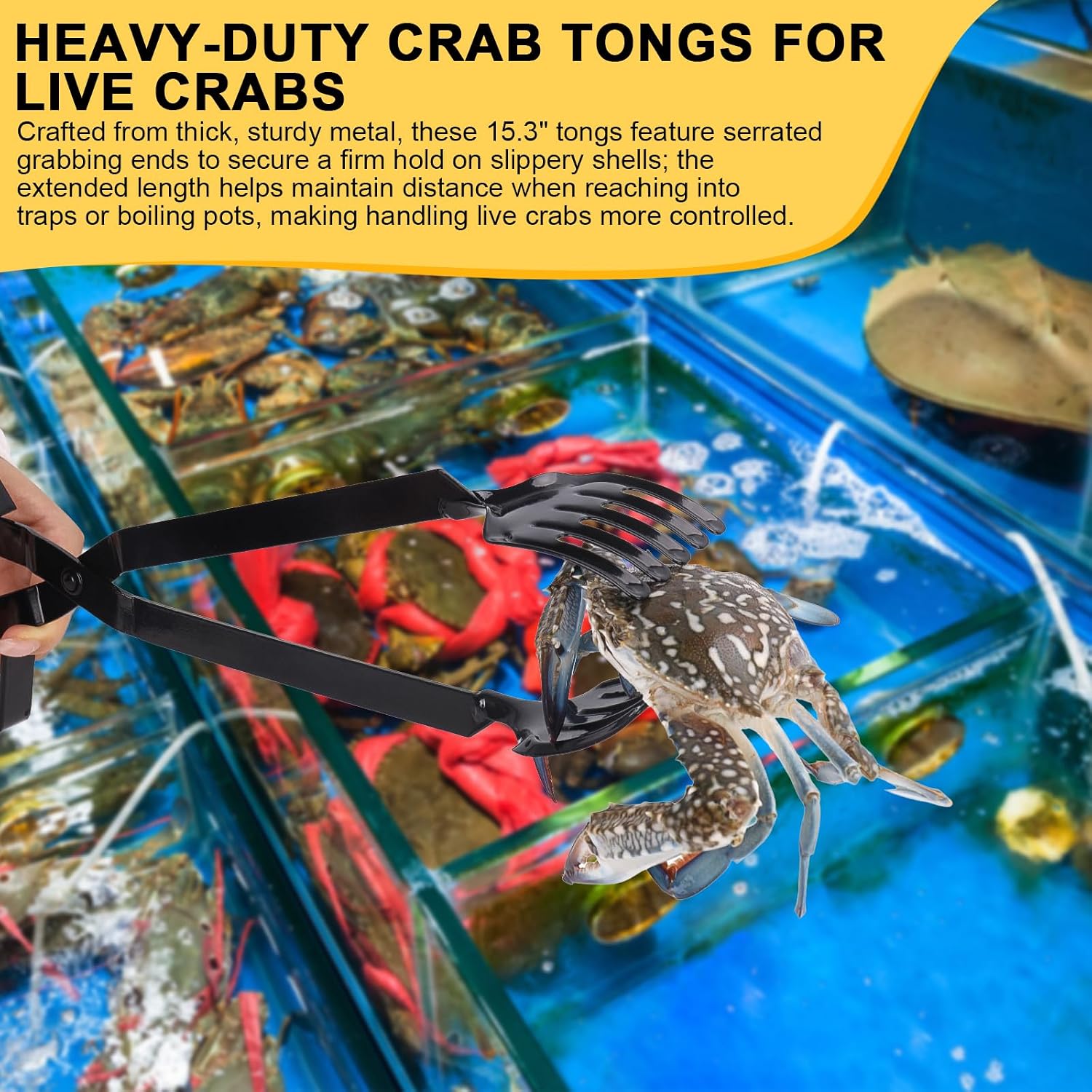 2 Set Crab Tongs and Crab Gauge for Live Crabs, 15.3" Heavy Duty Seafood Grabber, Extended Length Helps Maintain Distance While Handling