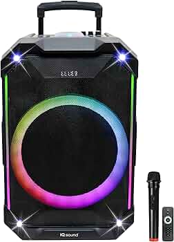 Amazon.com: IQ Sound IQ-5415DJBT 15-inch Portable Bluetooth