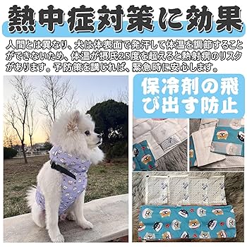 犬用クールネック　オーダーページ brindle-store_neck-orange