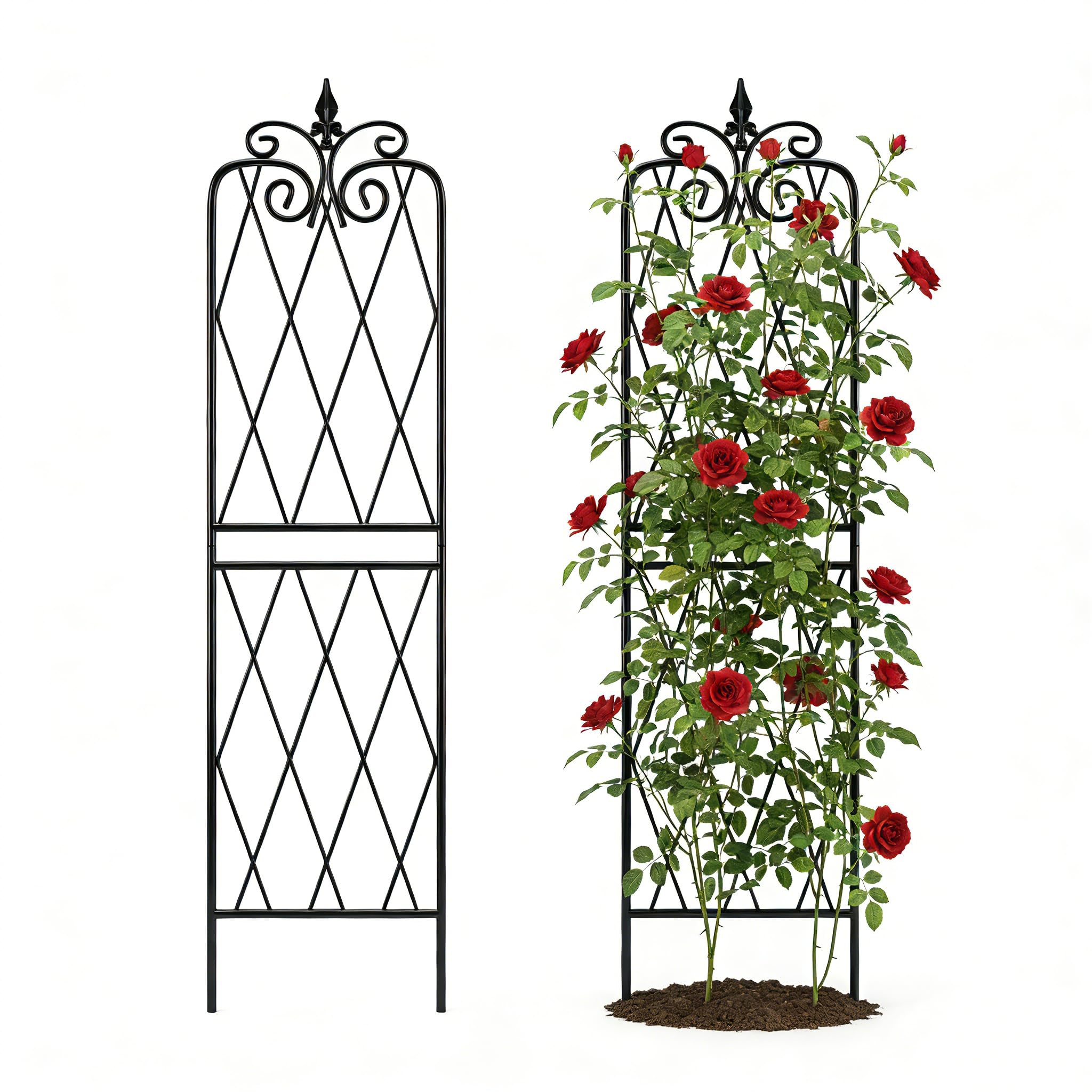 SCENDOR Trellis 2-Pack