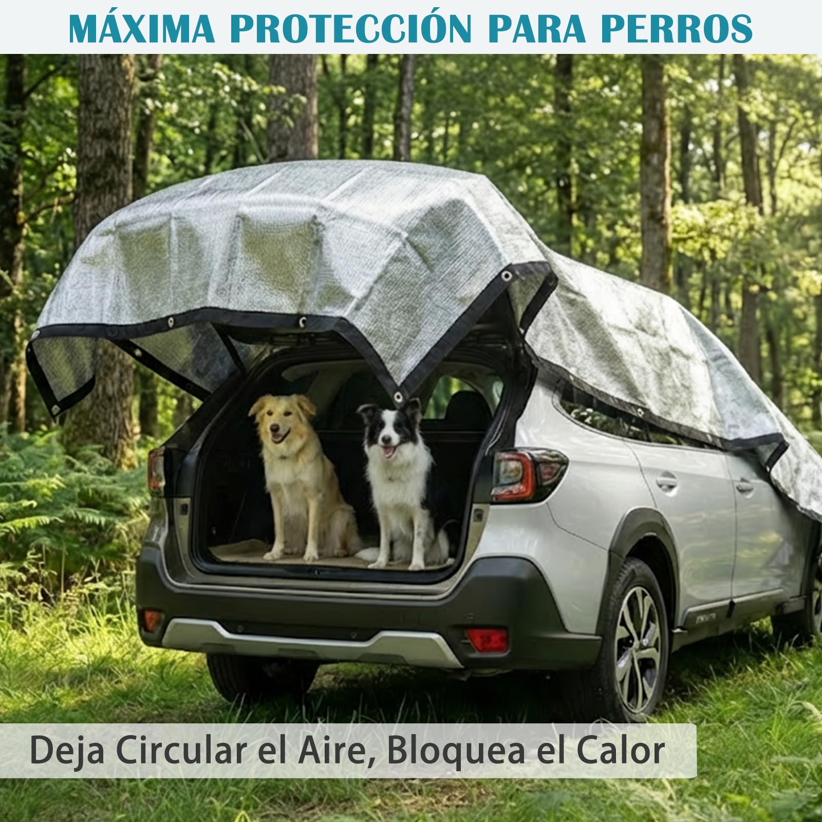 BeGrit 3x6M Tela de sombreo Reflectante Coche Termo-Reflectante 85% | Red de Protección Solar Anti-UV de Aluminio Malla de sombreo Aluminet Ojales de Aluminio para Perro Camping Caravana Huerto