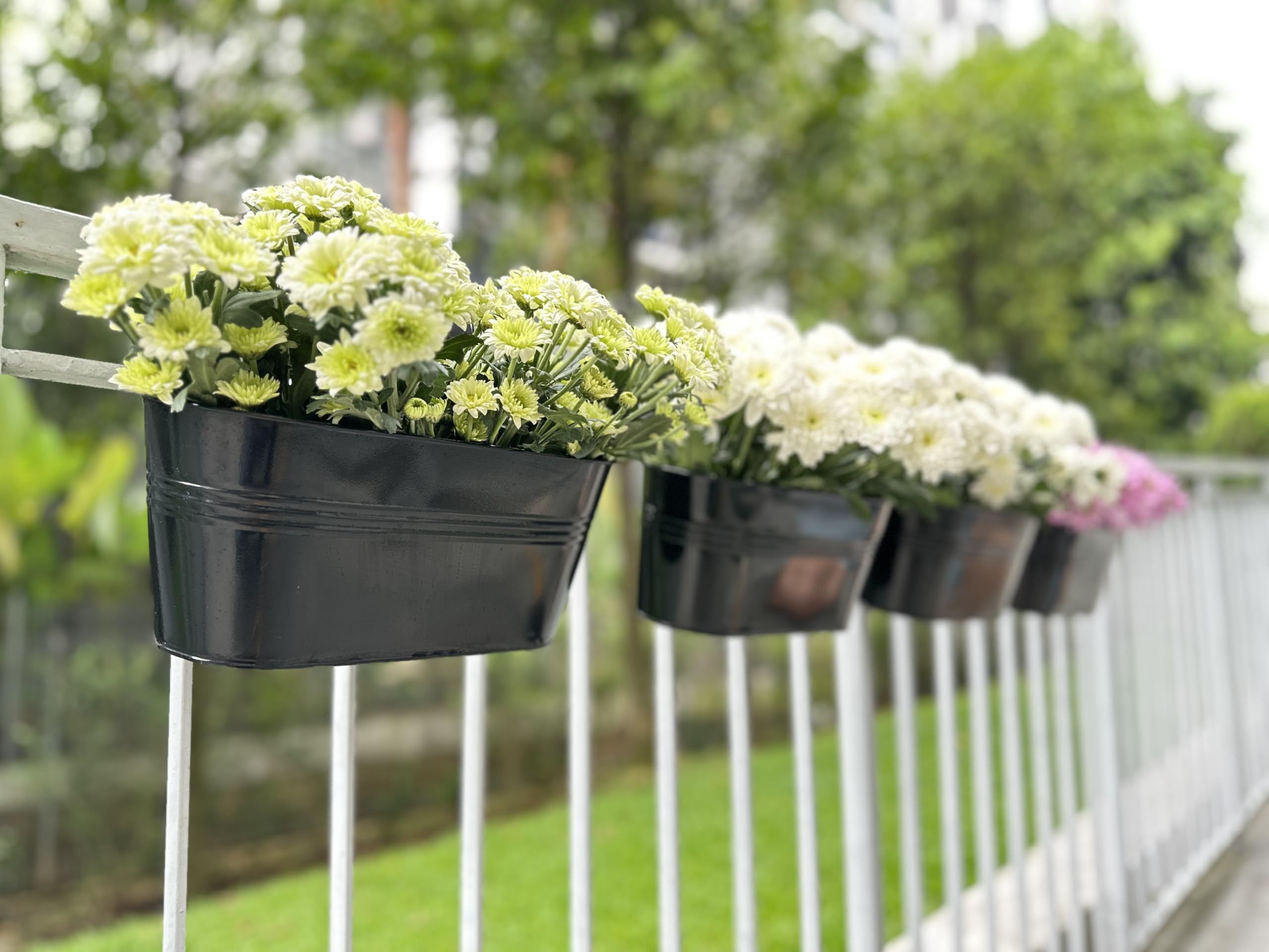 LáLáGreen Vasi da Fiori per Esterno su Ringhiera (Confezione da 8, 28.4 cm) Vasi da Fiori da Appendere in Ferro Nero per Ringhiere da Terrazzo, Recinzioni, Secchi da Giardino Moderni in Stile Boho da