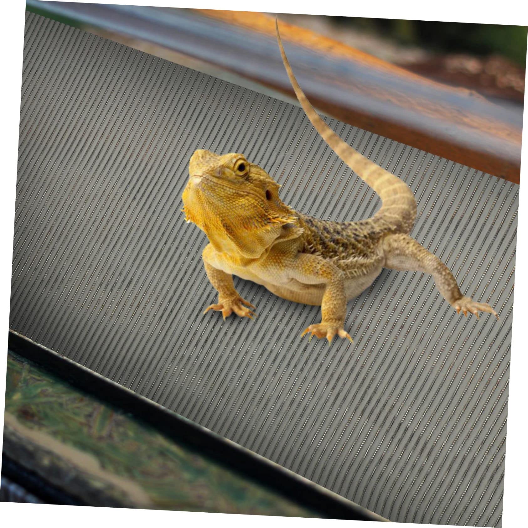 Kisangel Reptilien Waschbar und Wiederverwendbar aus Polyester Terrariummatte Zuschneidbar für Schildkrötengehege und Terrarium | Wiederverwendbar und Waschbar, für Schildkröten als Einstreu 1 Matte, Pflegeleicht