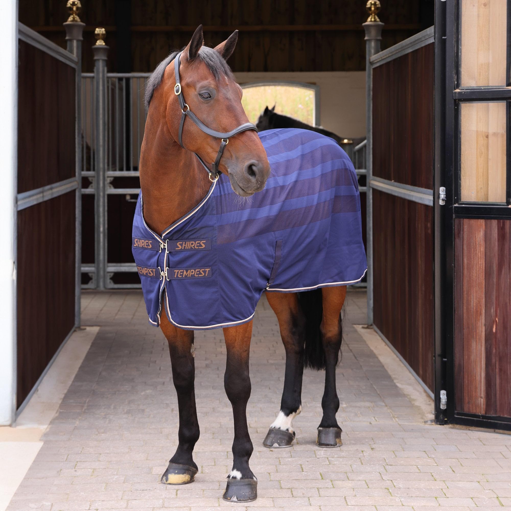 Shires Tempest Original Scrim Cooler Rug - Ink Navy Blue 6ft9