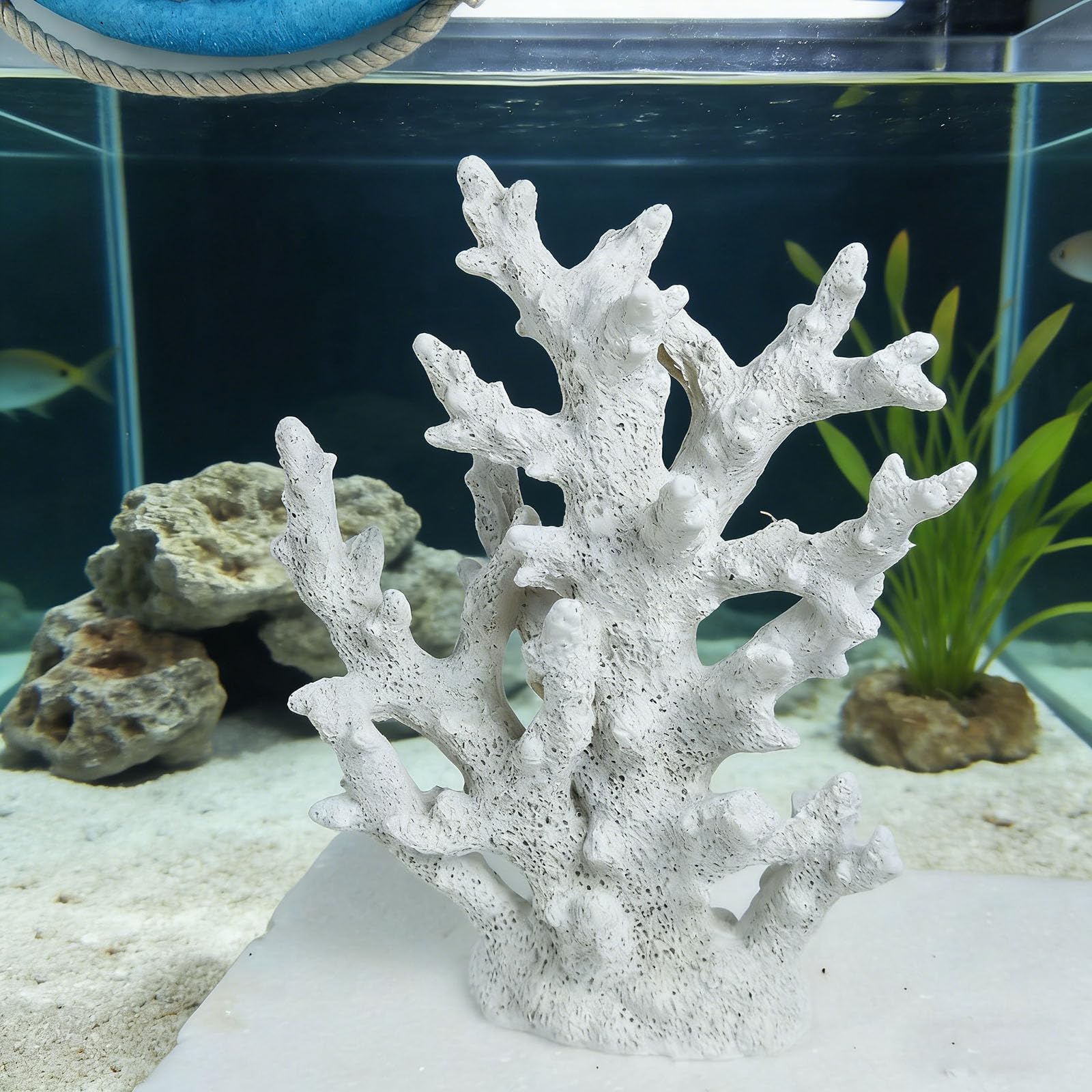 Amazon.co.jp: Tirifer ホワイトサンゴ装飾 ホワイトサンゴ礁 人工