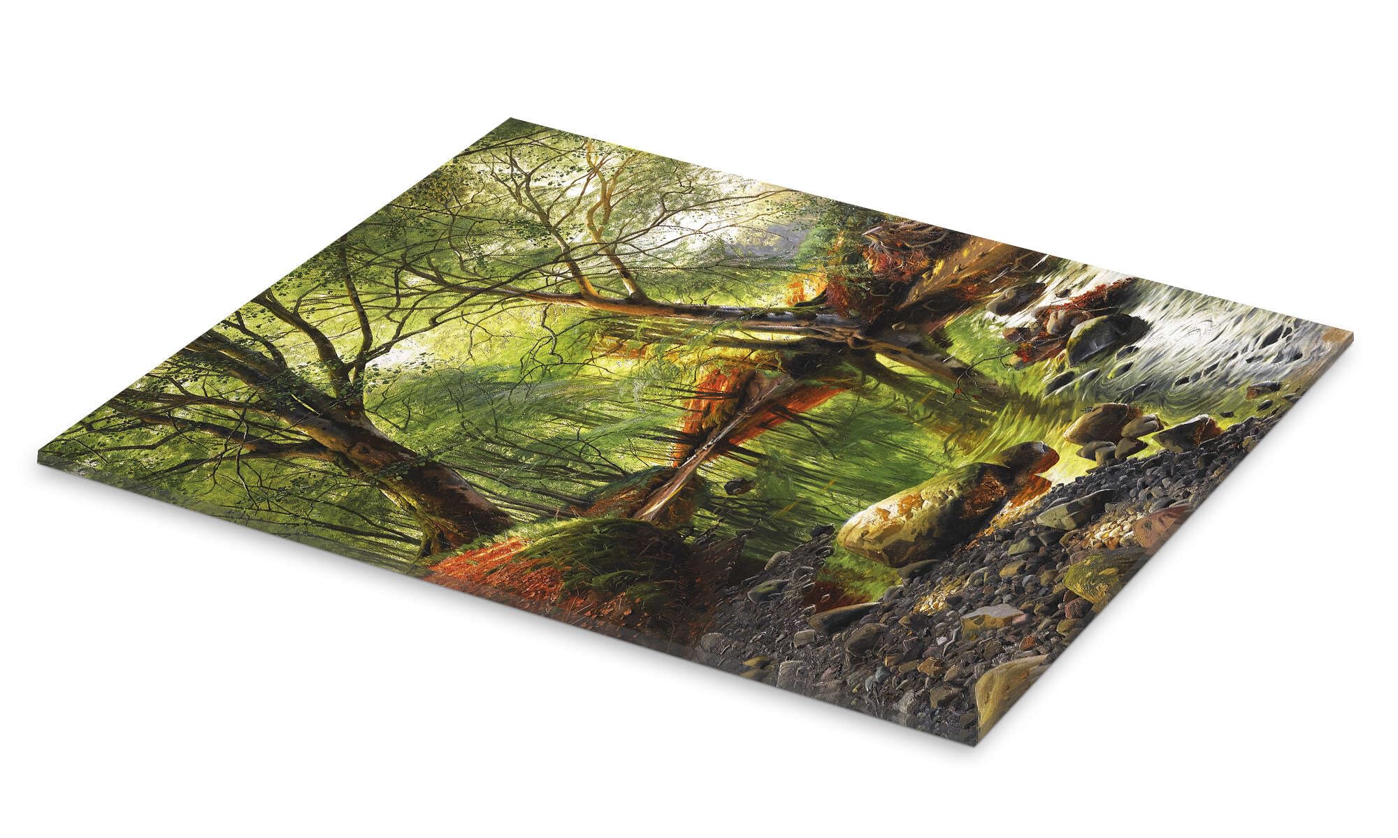 A woodland stream Obraz na szkle akrylowym