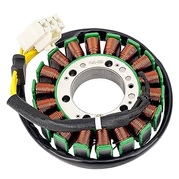Road Passion Motorcycle Magneto Generator Stator Coil