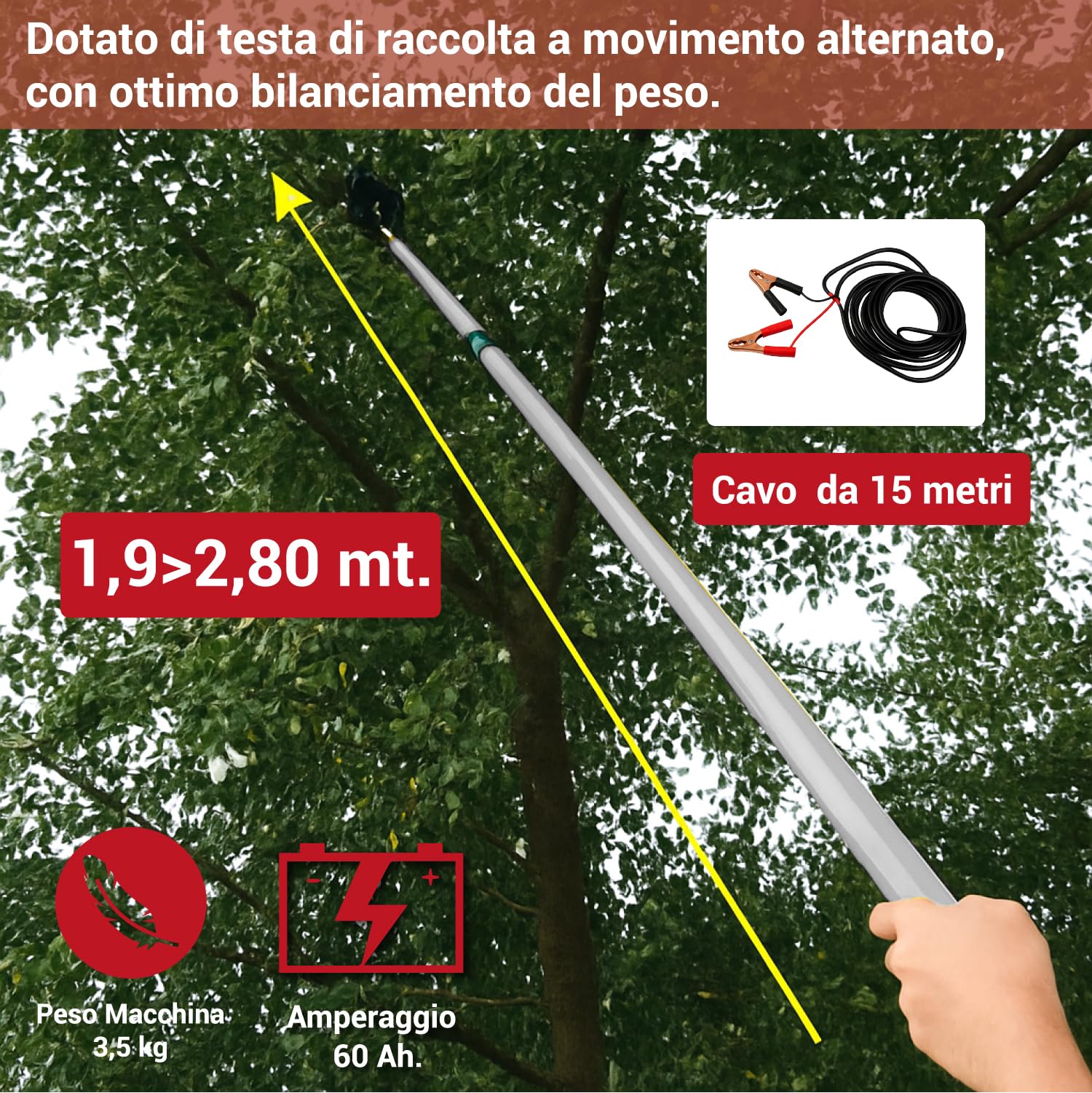 Crisalide Vareador eléctrico para aceitunas de 140 W con barra telescópica de aluminio de 210 – 295 cm, cable de 15 m, motor de 12 V, recogida de 80 kg/h, recoge aceitunas profesional, peines de