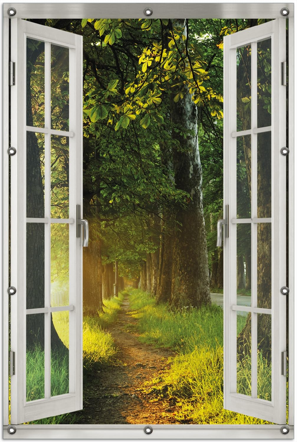 Poster Les rayons du soleil qui brille à travers les arbres dans la forêt – Tableau