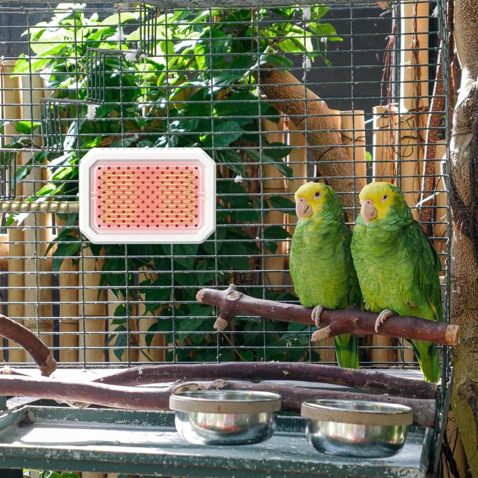Calentador de pájaros, termostato inteligente con calefacción rápida y cálida - Calefacción de jaula para pequeñas mascotas y periquitos, para conejos, hámsteres, loros grises