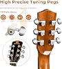 Vangoa 3/4 Acoustic Guitar Kit, 36 Inch Acustica Guitarra Dreadnought Bundle for Beginner Adult Youth Travel With Steel String Spruce Wood Gig Bag Tuner Pickguard, Right Hand