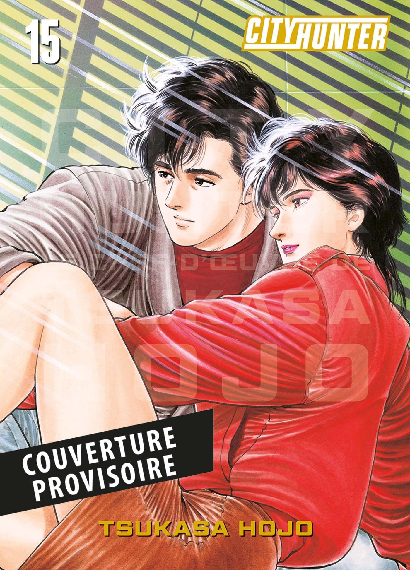 City Hunter Perfect Edition T15