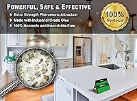 Vista 4 de MaxGuard Trampas para polillas de despensa (paquete de 24) con feromonas extra fuertes, trampa de pegamento adhesivo no tóxico para alimentos