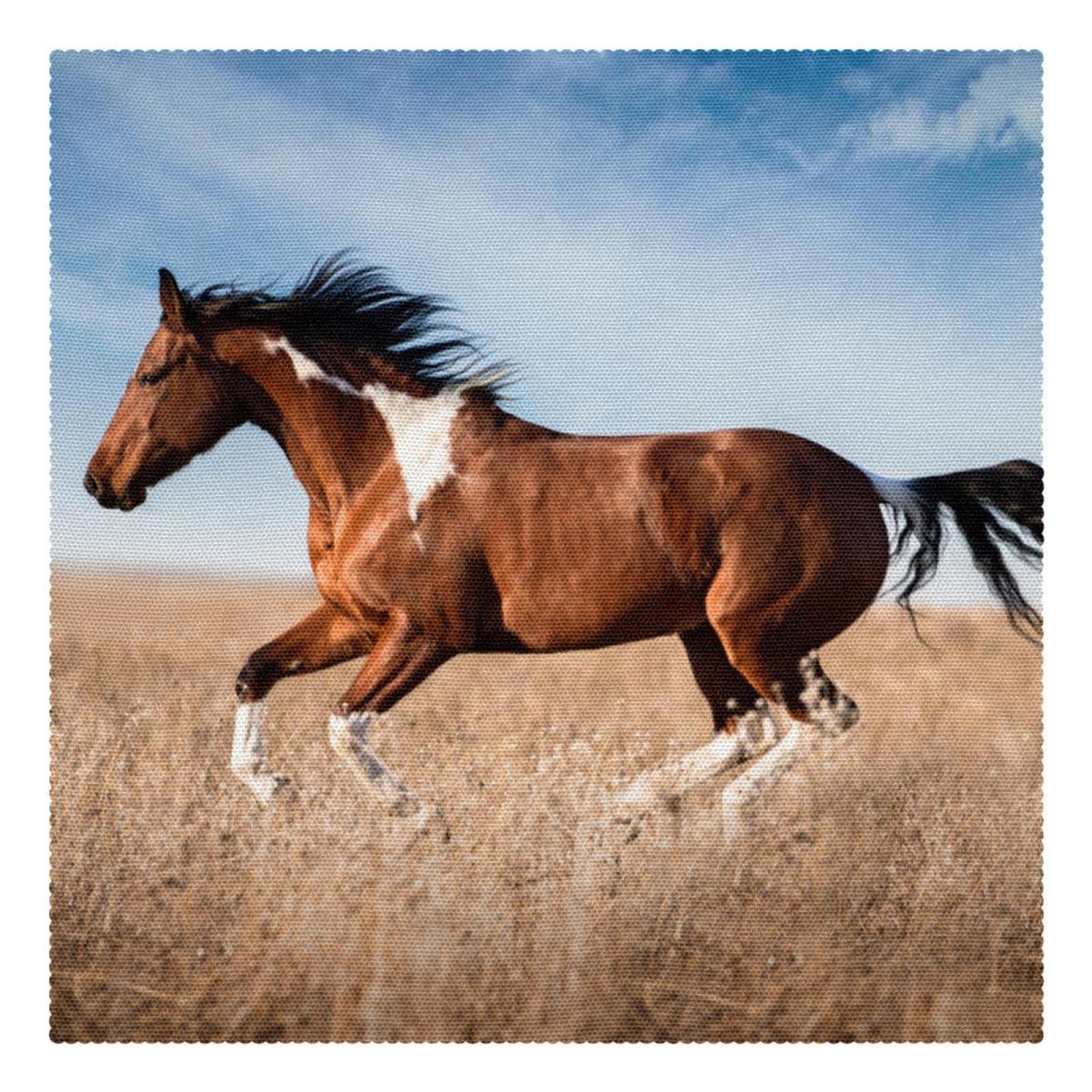 Sets de table de cuisine cheval au galop protège table carré 30x30 résistant