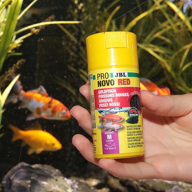 Foto 3 de 7 de JBL PRONOVO Red Grano, alimento Principal para Peces de Colores de 8-20 cm, alimento para Peces gránulos