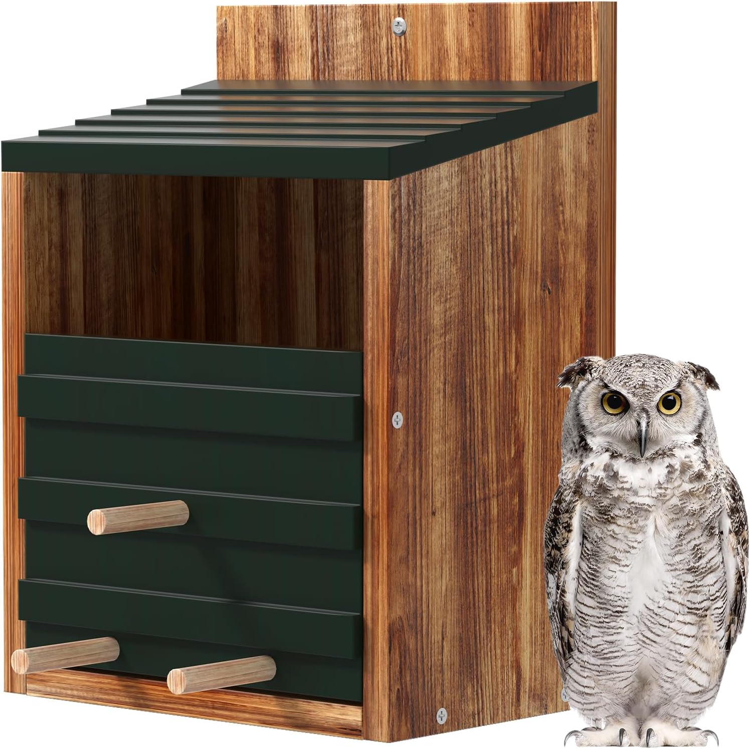 Owl Nesting Box with Premium Carbonized Cypress Wood