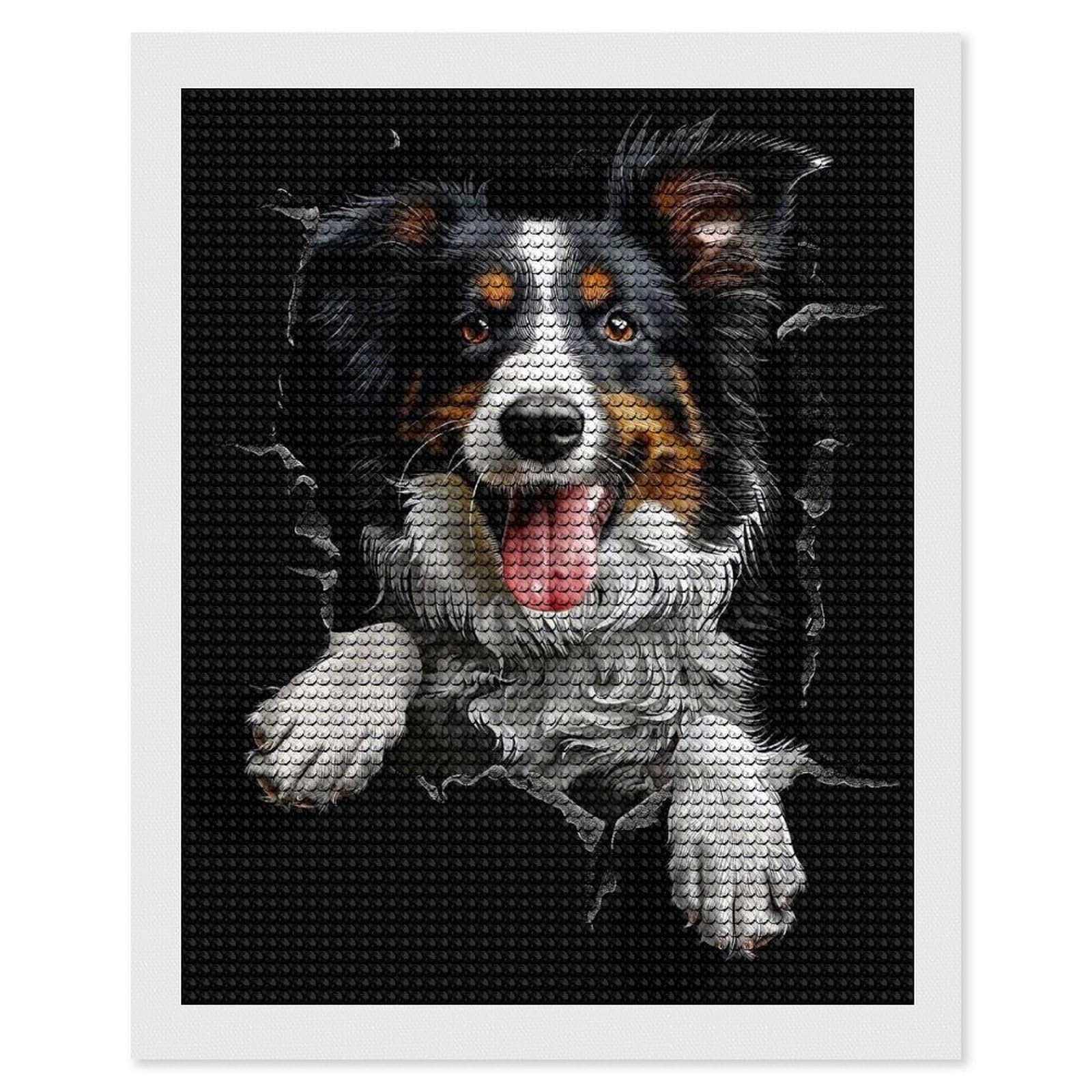 Junmoney Collie(2) Diamond Art Kit 16"x20", Neat Printed Canvas, Finish and Display, Relaxing DIY Hobby, Living Room Decor