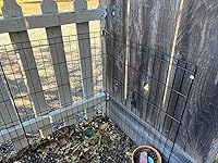 Review Image by Betty Betty