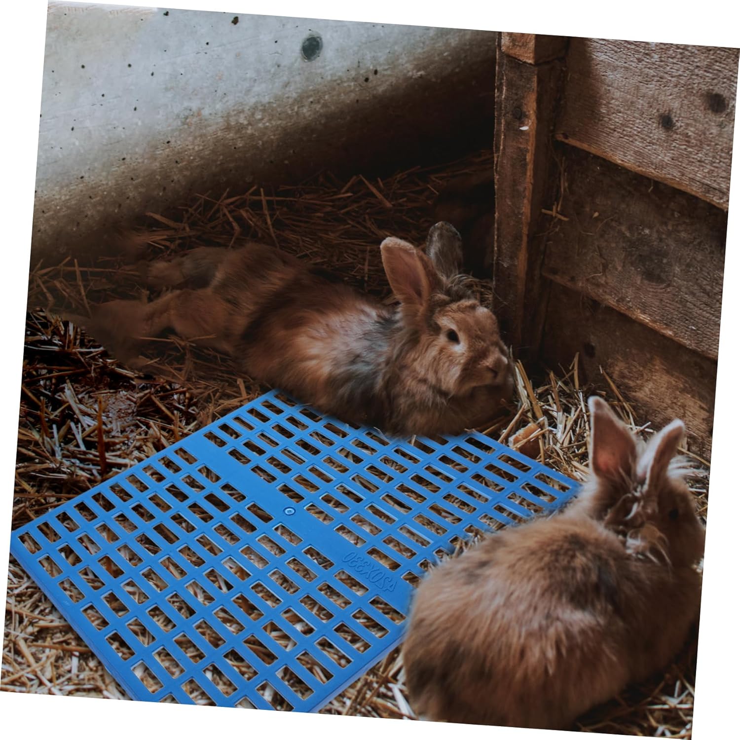 4Pcs Bunny Cage Mats Durable Feet Pads for Animals Water Floor Mat with Design Comfortable Rabbit Resting Pads
