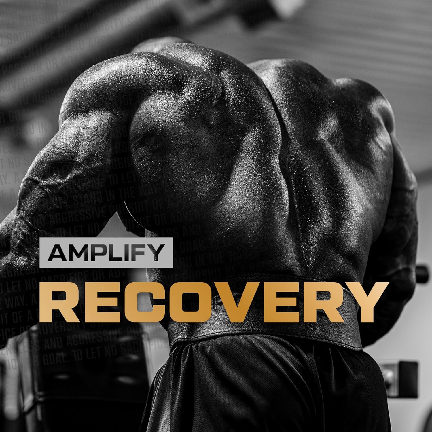 HOSSTILE Citrulline, Fermented L-Citrulline Powder, Nitric Oxide Pre Workout Supplement for Enhanced Blood Flow & Muscle Pumps, Vegan, Unflavored, 60 Servings - Image 5