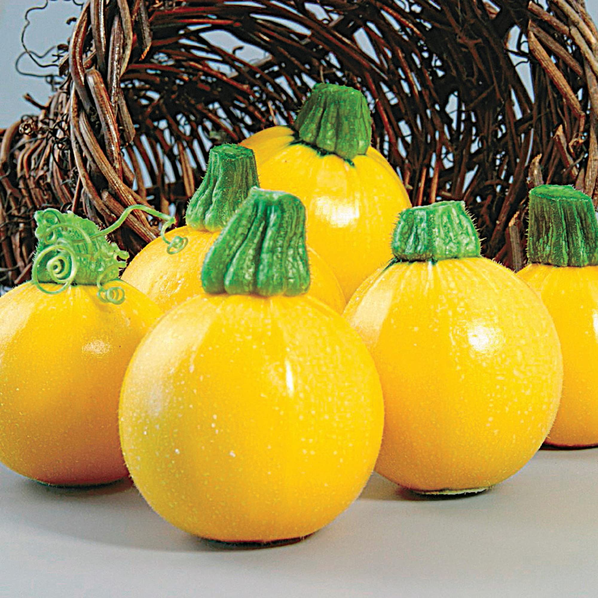 チグサ　ウラシク　238 Amazon.com : CHUXAY GARDEN Yellow Eight Ball Squash Seed