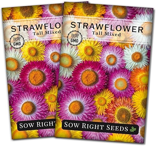 Miniatura 7 de Sow Right Seeds - Semillas altas de fresa mixta - Paquete de reliquia sin OMG con instrucciones para cultivar - Hermoso para plantar en tu jardín de