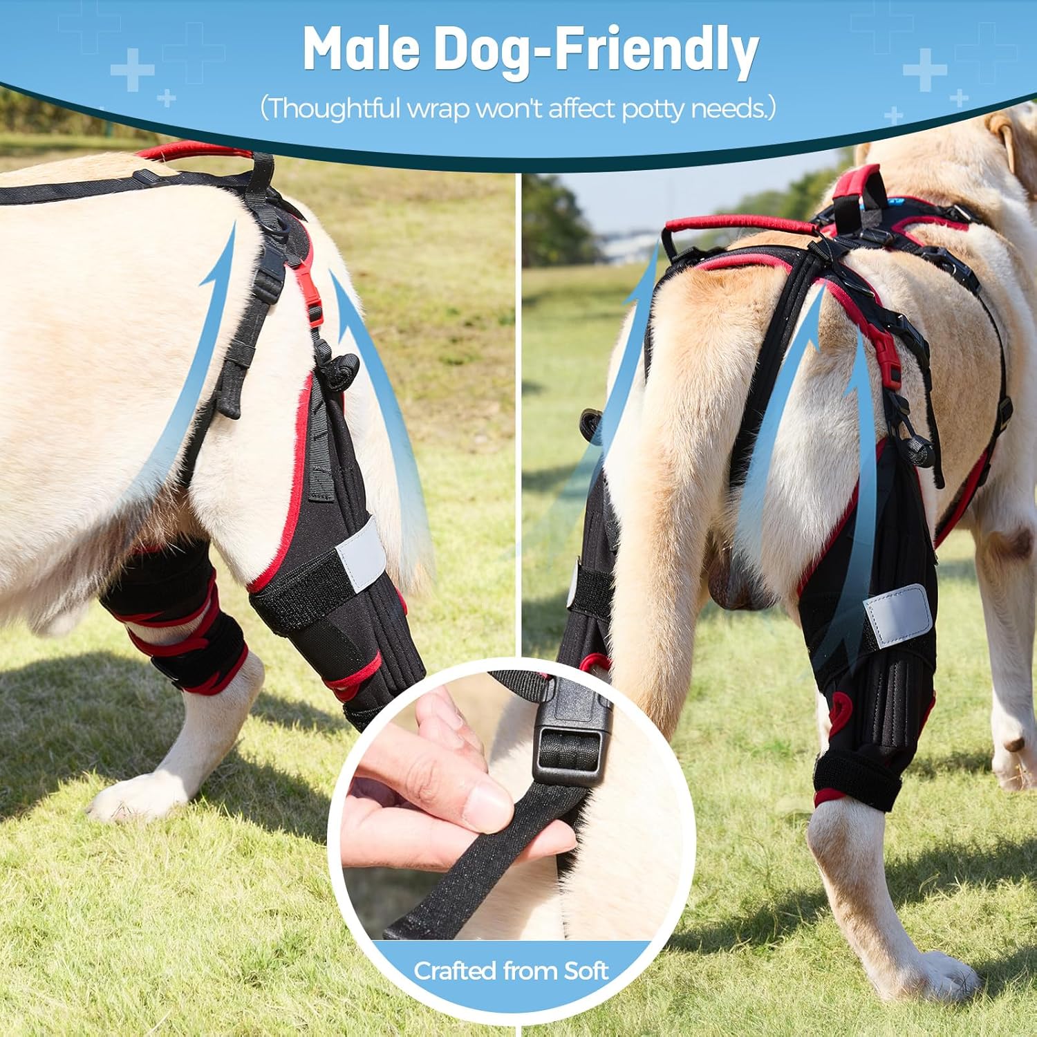 Dog Knee Brace with Lift Harness for Back Legs, Set of 2 – Adjustable Non-Slip Support for Large & Senior Dogs, ACL/CCL Injury & Mobility Aid, Black, X-Large