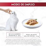 Ver la foto 8