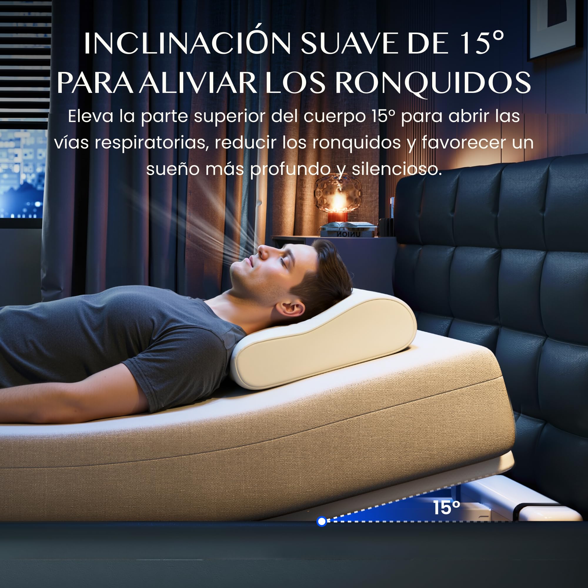 FLEXISPOT Somier Eléctrico Ajustable 0-60°, Motor Potente y Silencioso, Carga Máx. 90 kg, Estructura de Acero Estable con Barra Antideslizante para Colchón, Ideal para Dormitorio y Descanso en Casa