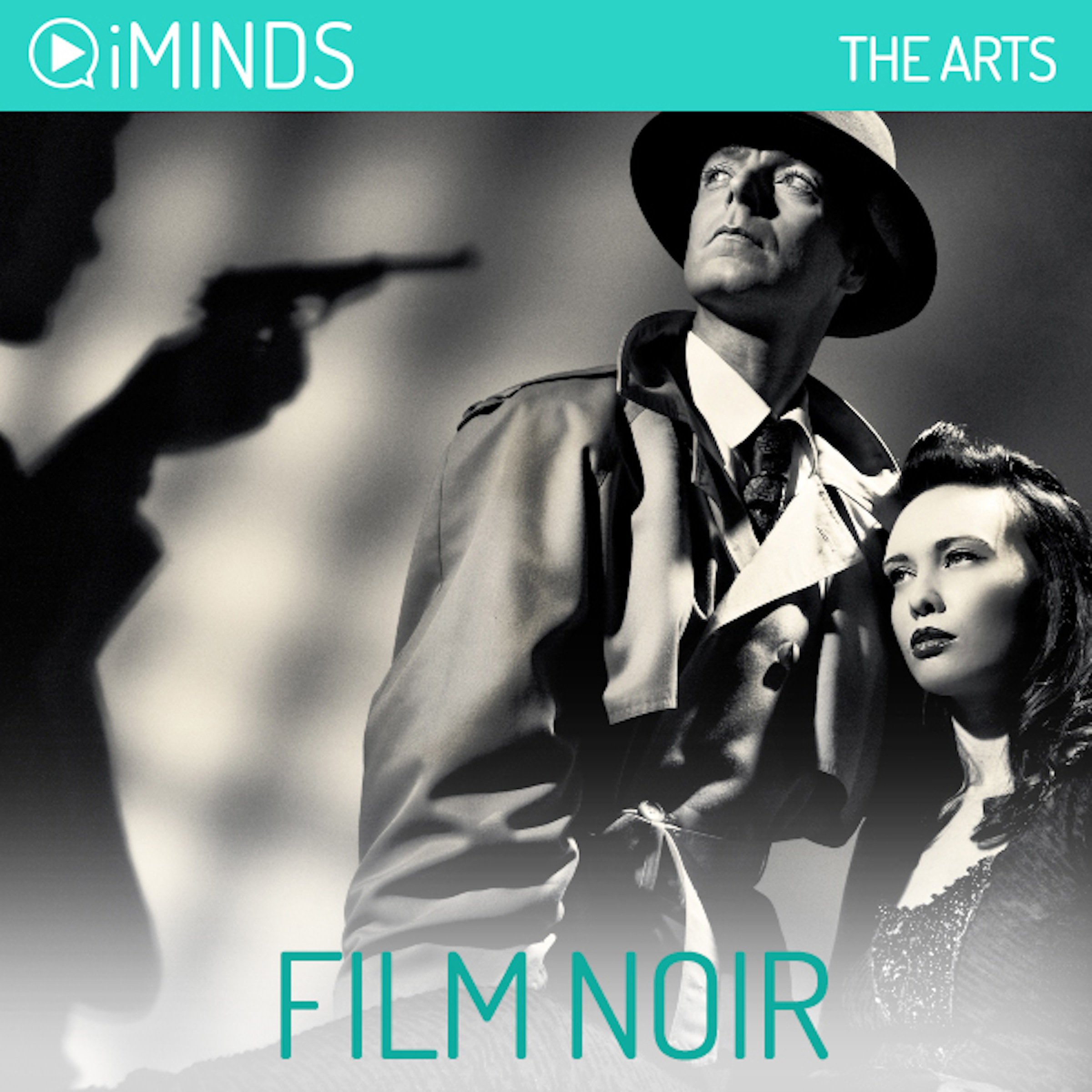 Cover art for Film Noir