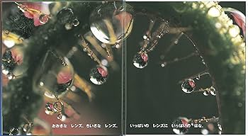 Amazon.co.jp: みずたまレンズ (かがくのとも絵本) : 今森光彦