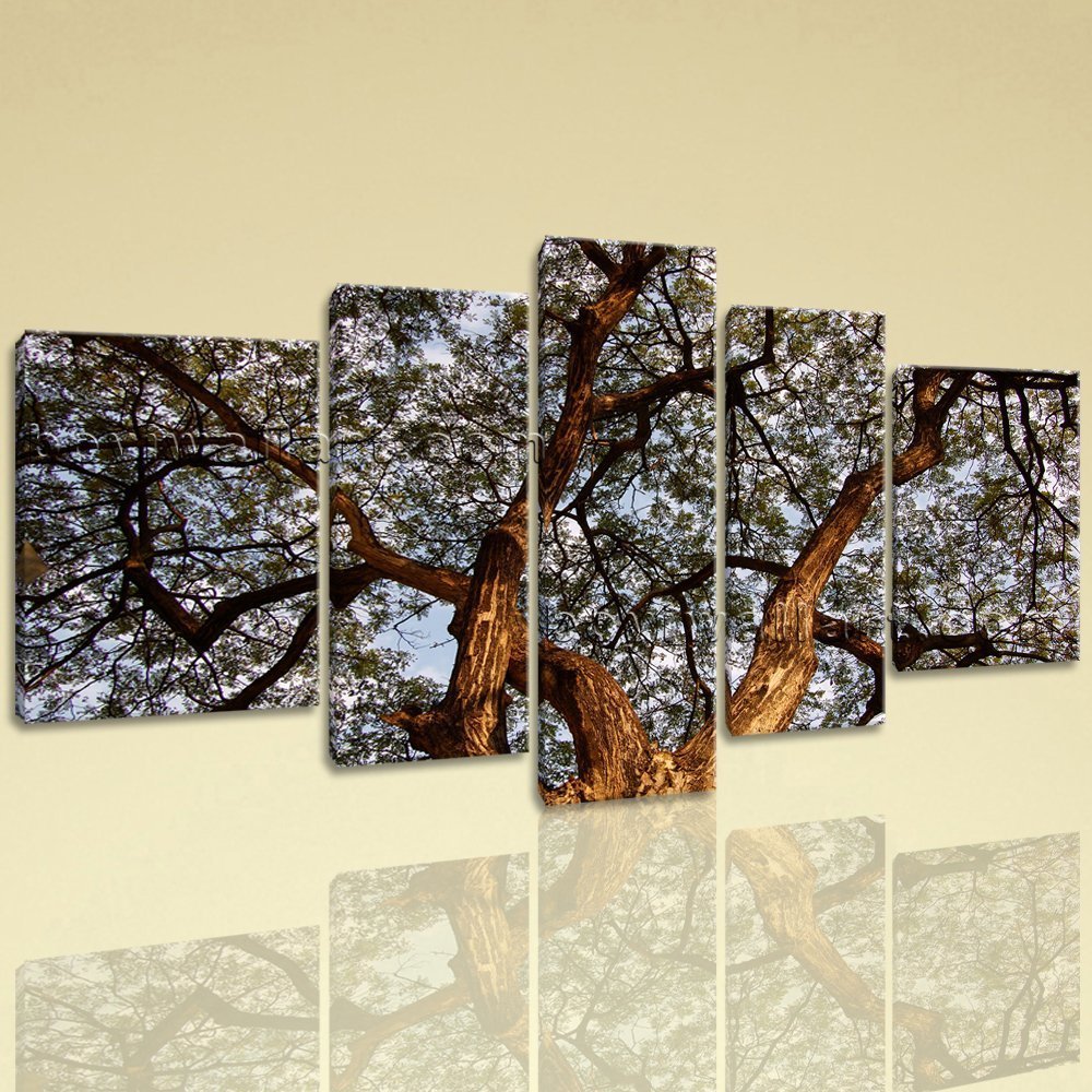 Extra Large Spreading Tree Floral Contemporary Wall Art