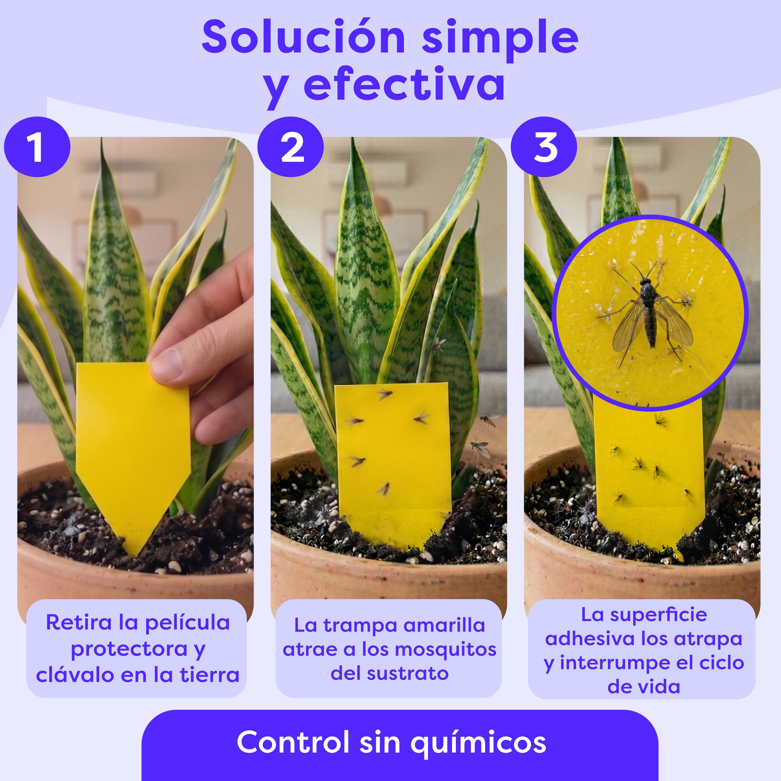 Wolkenfeld Trampa Moscas Plantas 60 Piezas Pegatinas – Trampas Amarillas para Insectos, Atrapa Mosquitos Adhesivo Doble Cara, Sin Insecticida – Interior, Macetas y Invernadero – Made in Germany