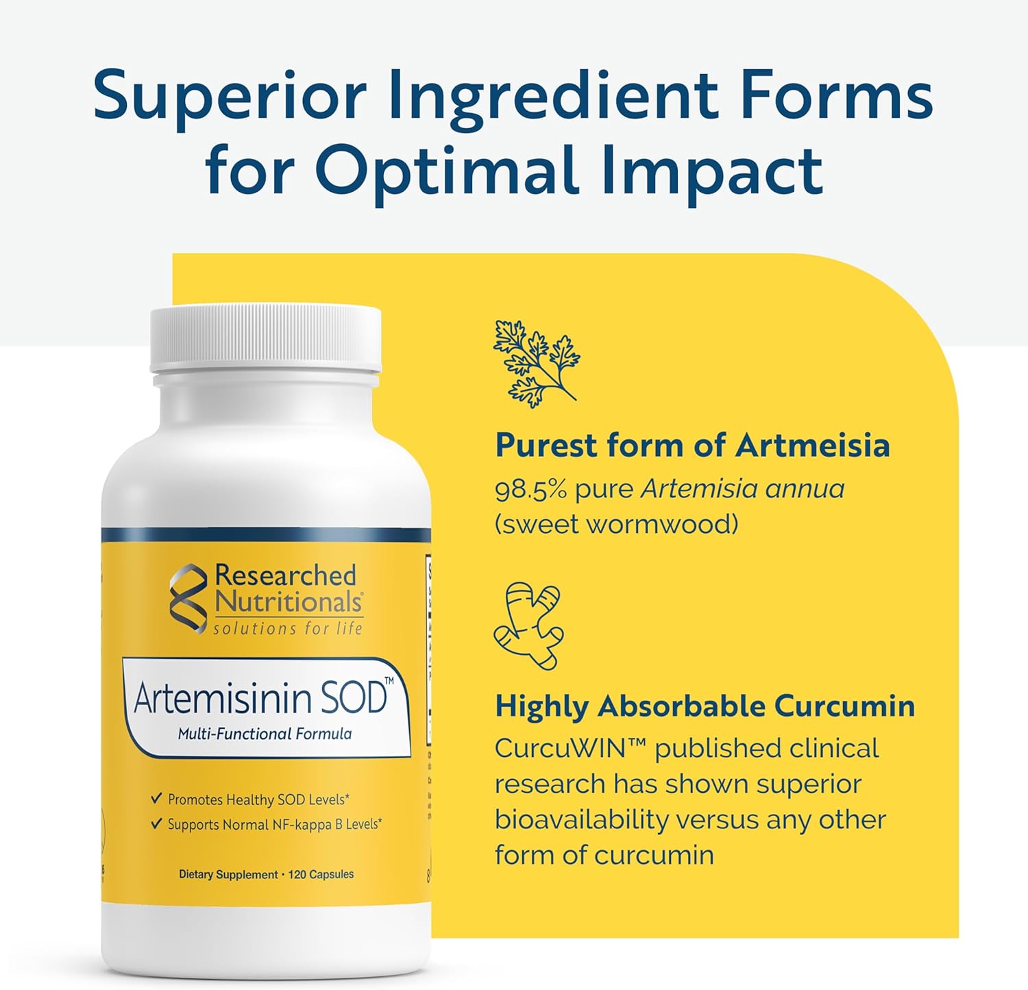 Researched Nutritionals Artemisinin SOD - Immune Support Supplement with Artemisinin, Green Tea Extract, Quercetin, Turmeric Curcumin & Black Walnut (120 Capsules)