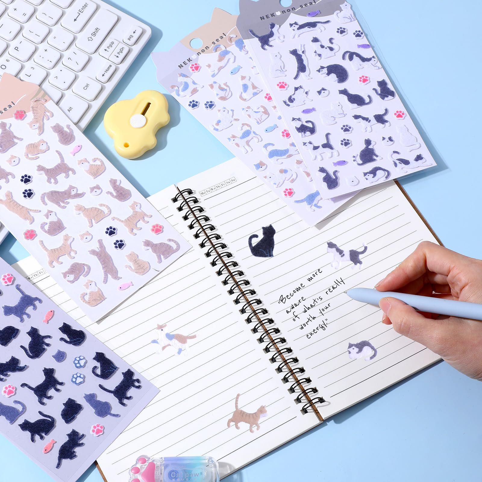 View 4