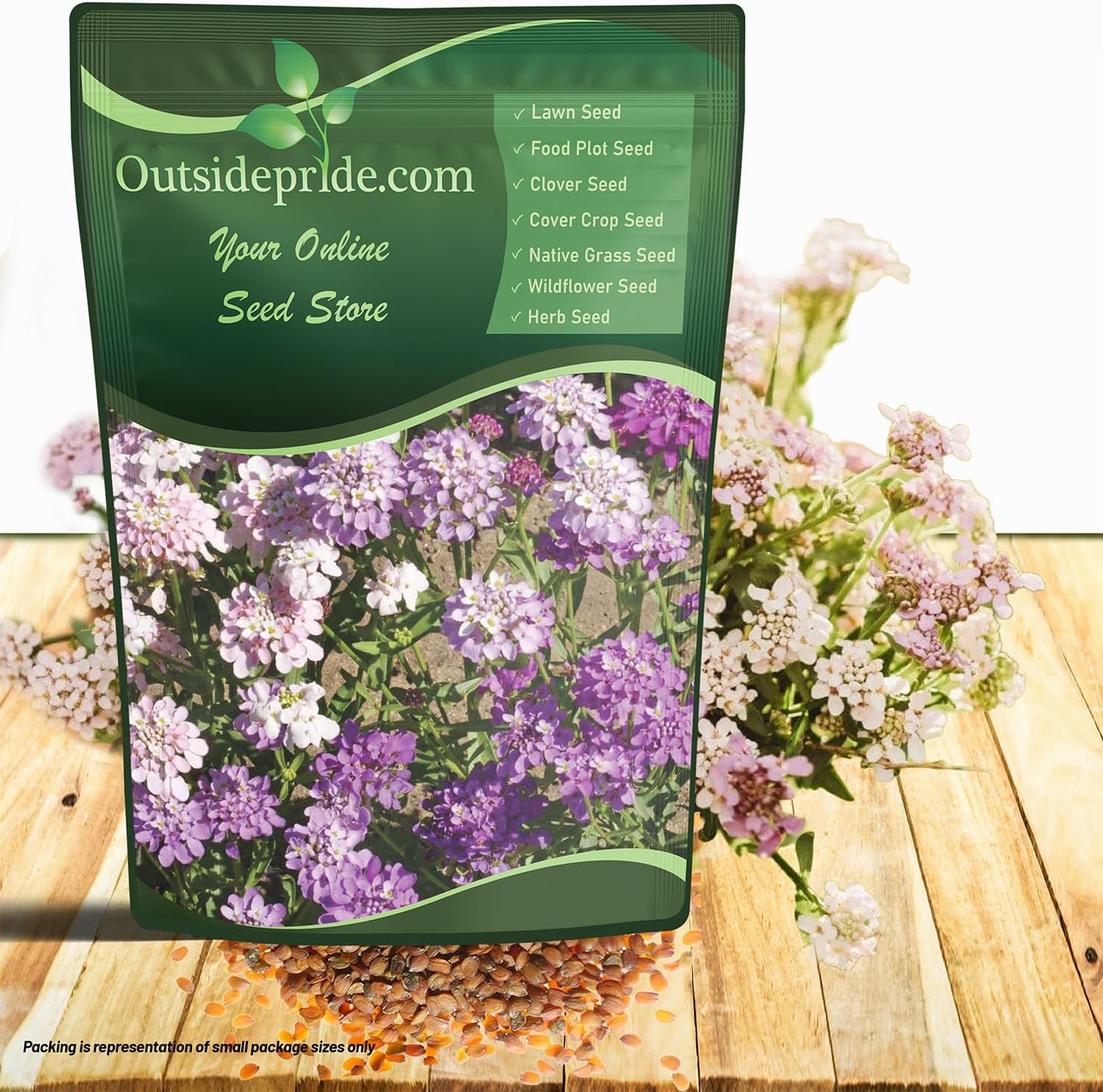 Outsidepride Wild Flower Candytuft Seeds - 1 lb. Annual Flower Seeds for Planting with Attractive Flowers, Easy to Grow & Drought Tolerant for Garden Ground Cover, Borders, & Edging