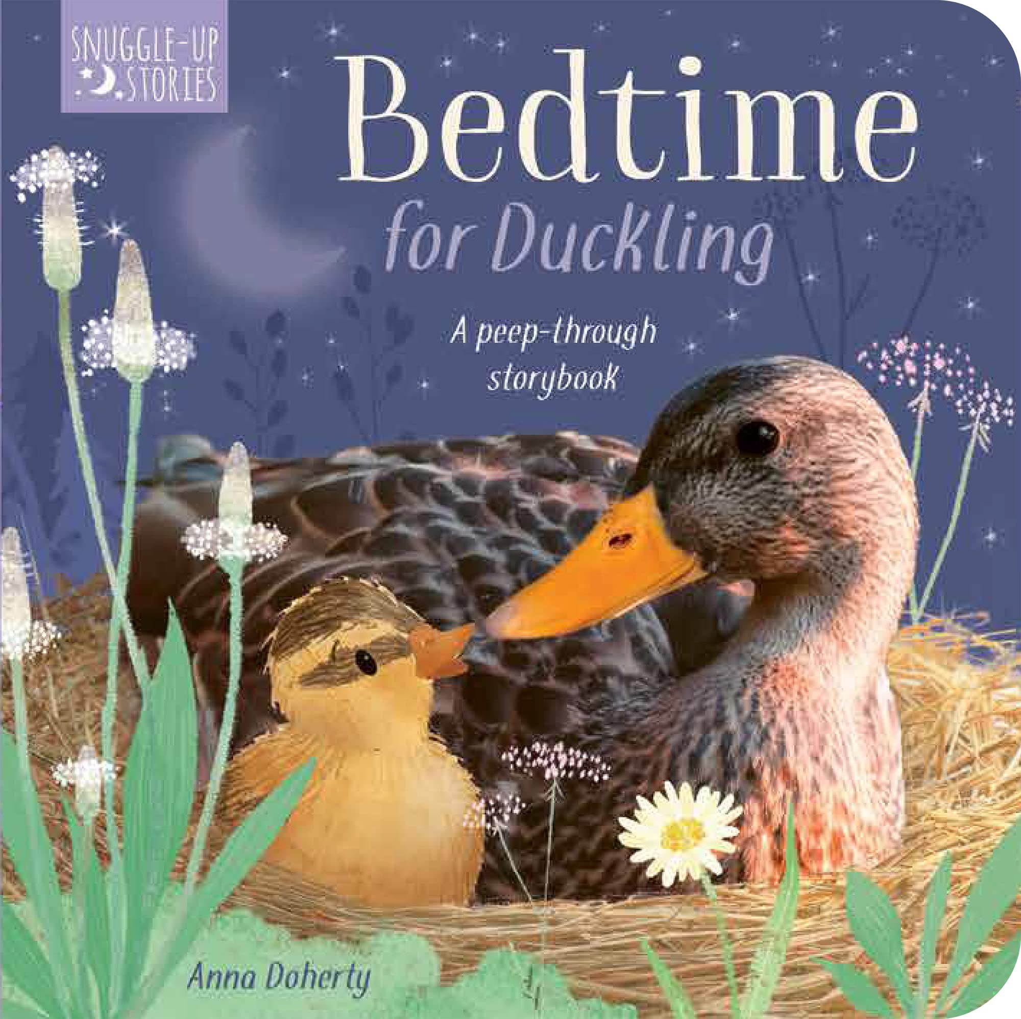 Little Tiger Press Bedtime for Duckling