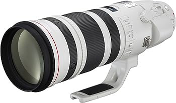 Amazon.co.jp: Canon 望遠ズームレンズ EF200-400mm F4 L IS USM