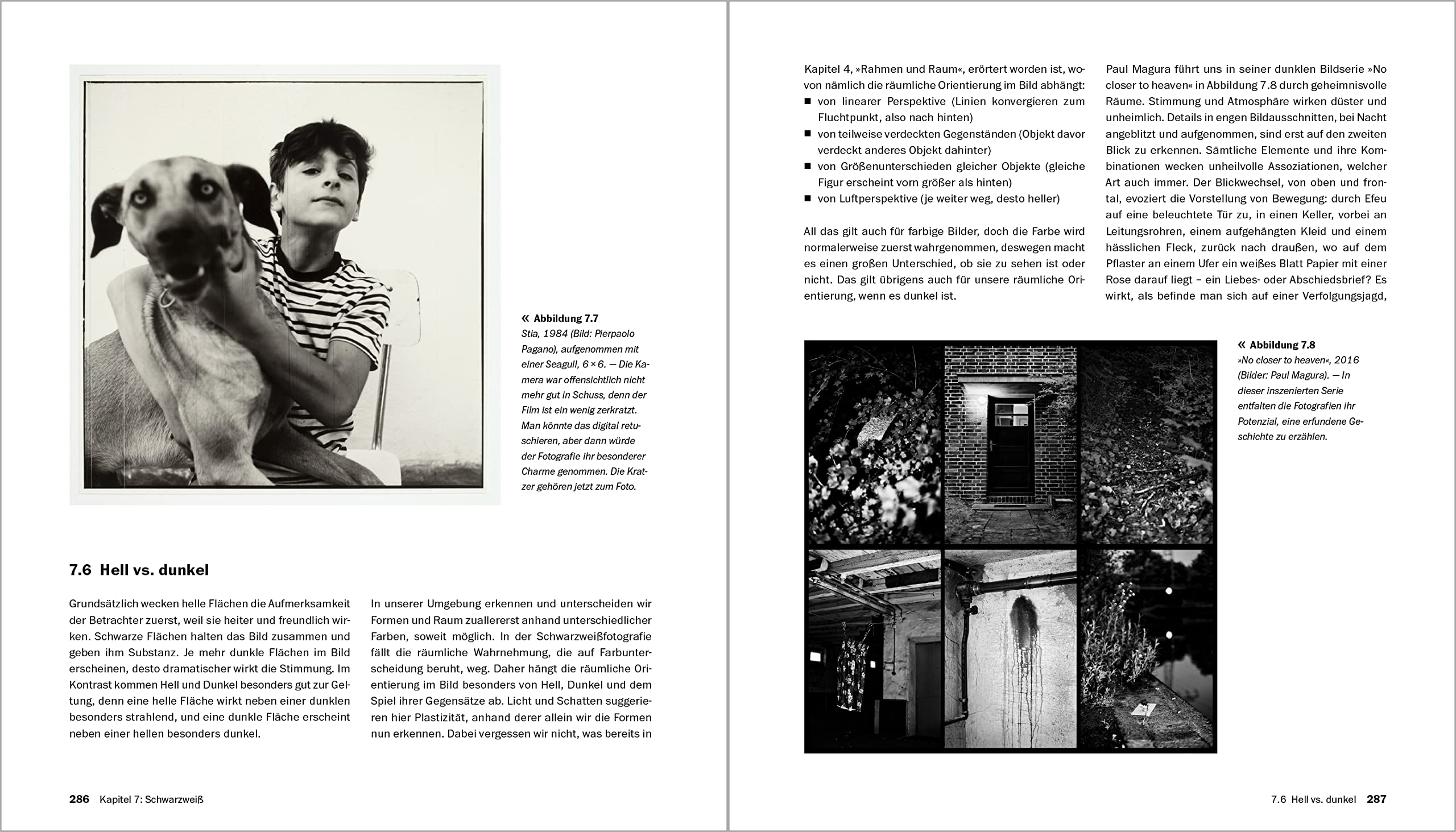 Bildgestaltung: die große Fotoschule. Von guten Bildern lernen: Theorie, Analyse, kreative Praxis. Mit vielen Anregungen und Übungen (Auflage 2022)