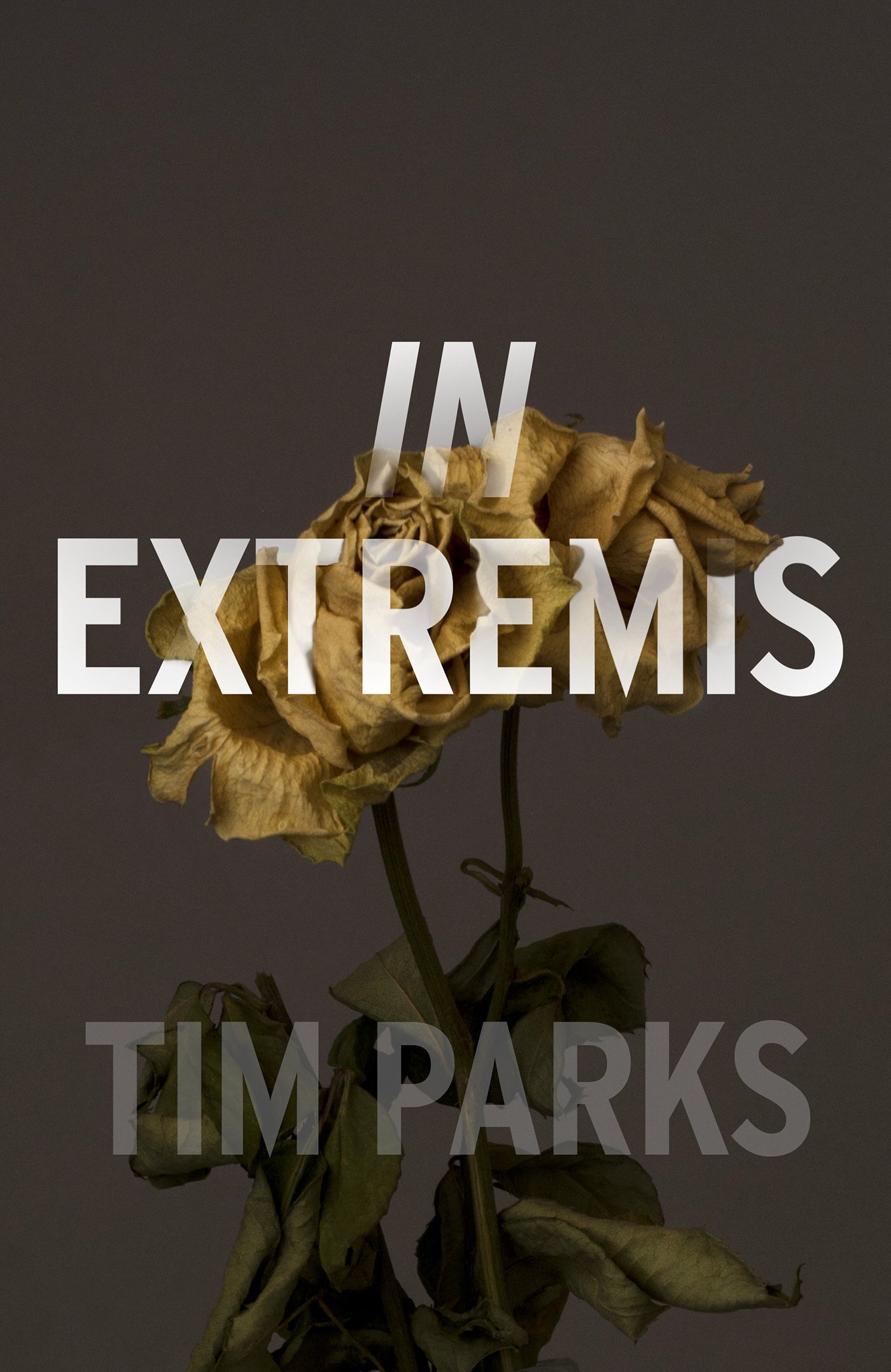 In Extremis: Tim Parks