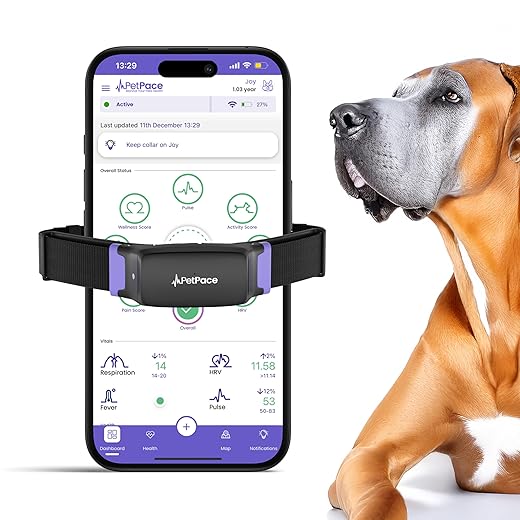 PetPace Smart Collar 2.0 Large Health Tracker