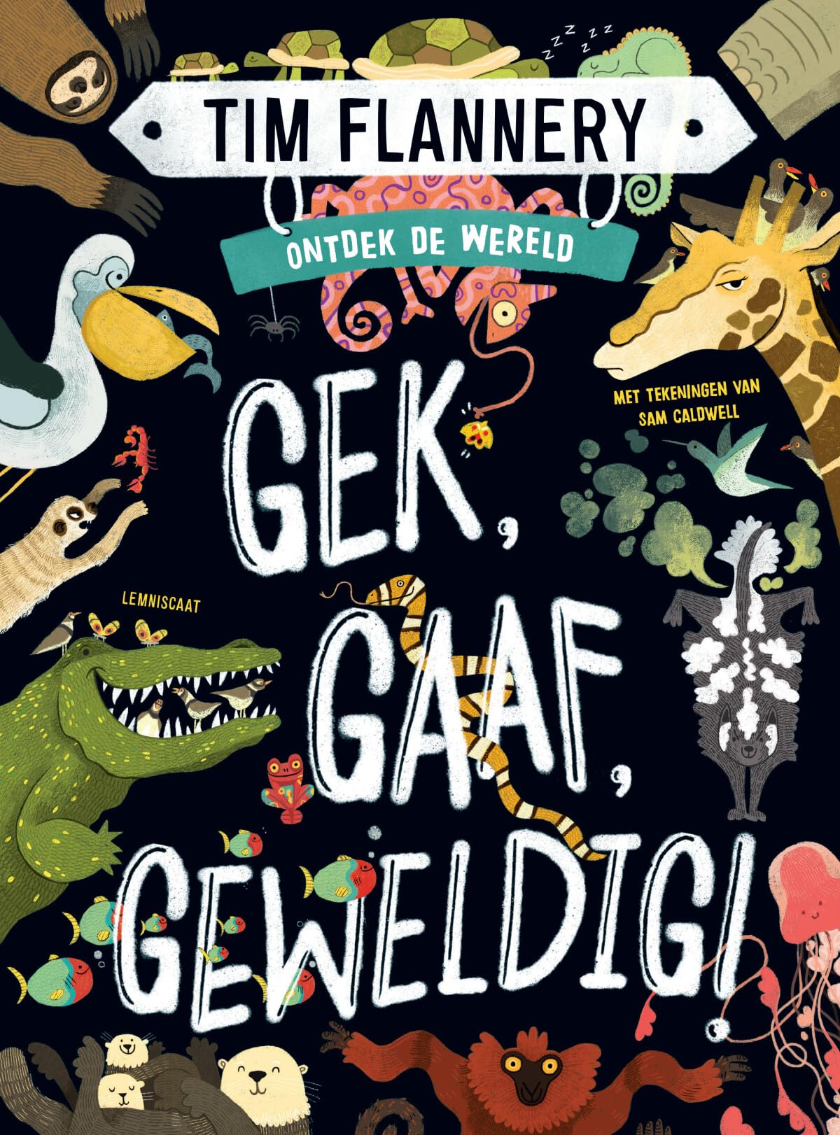 Gek, gaaf, geweldig! (Ontdek de wereld)