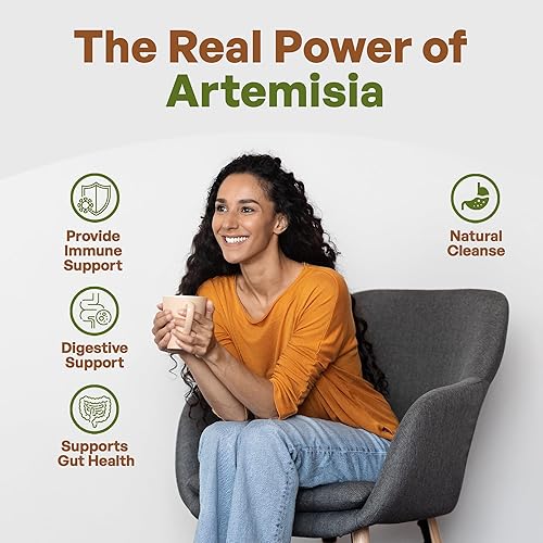 Miniatura 4 de Go Nutra Polvo de ajenjo dulce (Artemisia annua) | Artemisinina natural | Apoya la salud digestiva, la energía y los antioxidantes | Té de hierbas y