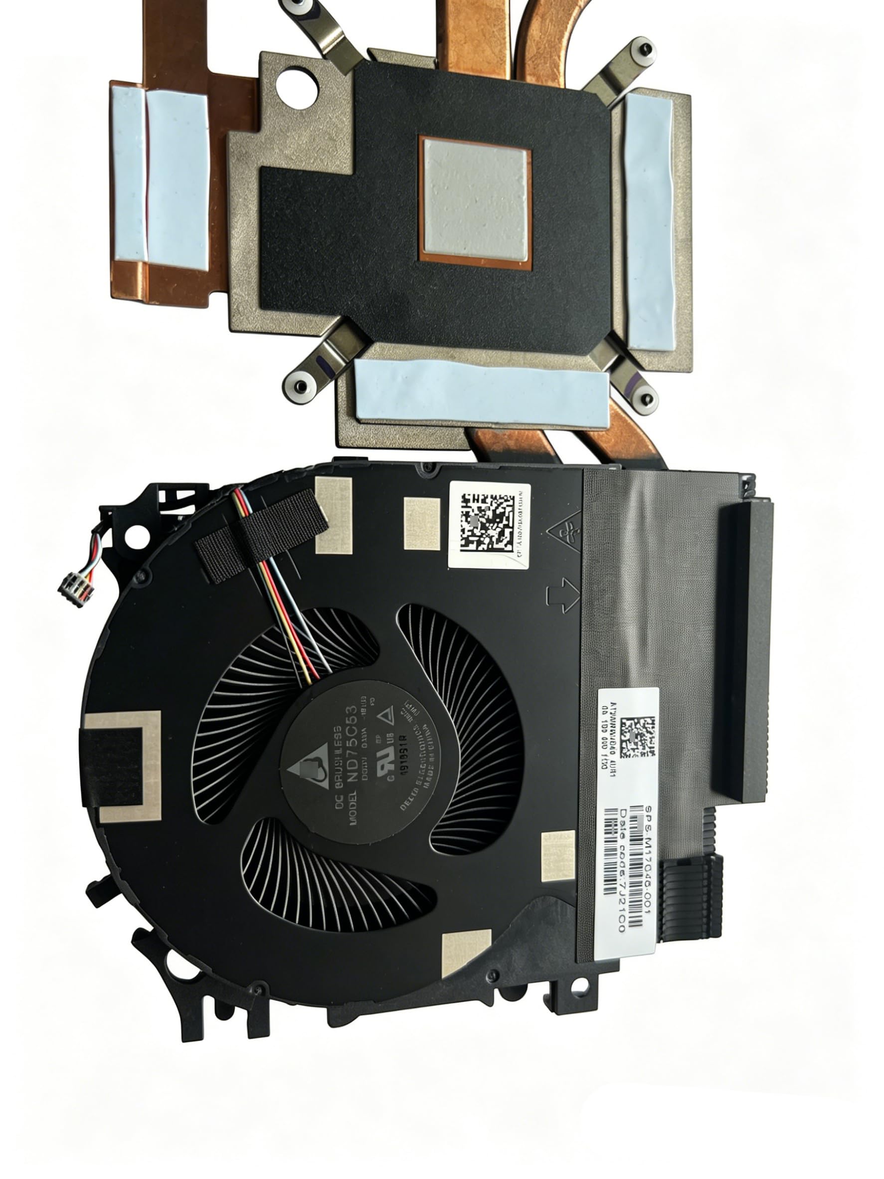 Amazon.com: SYW·pcparts Fan for HP ZBook Fury 15 G7 15.6
