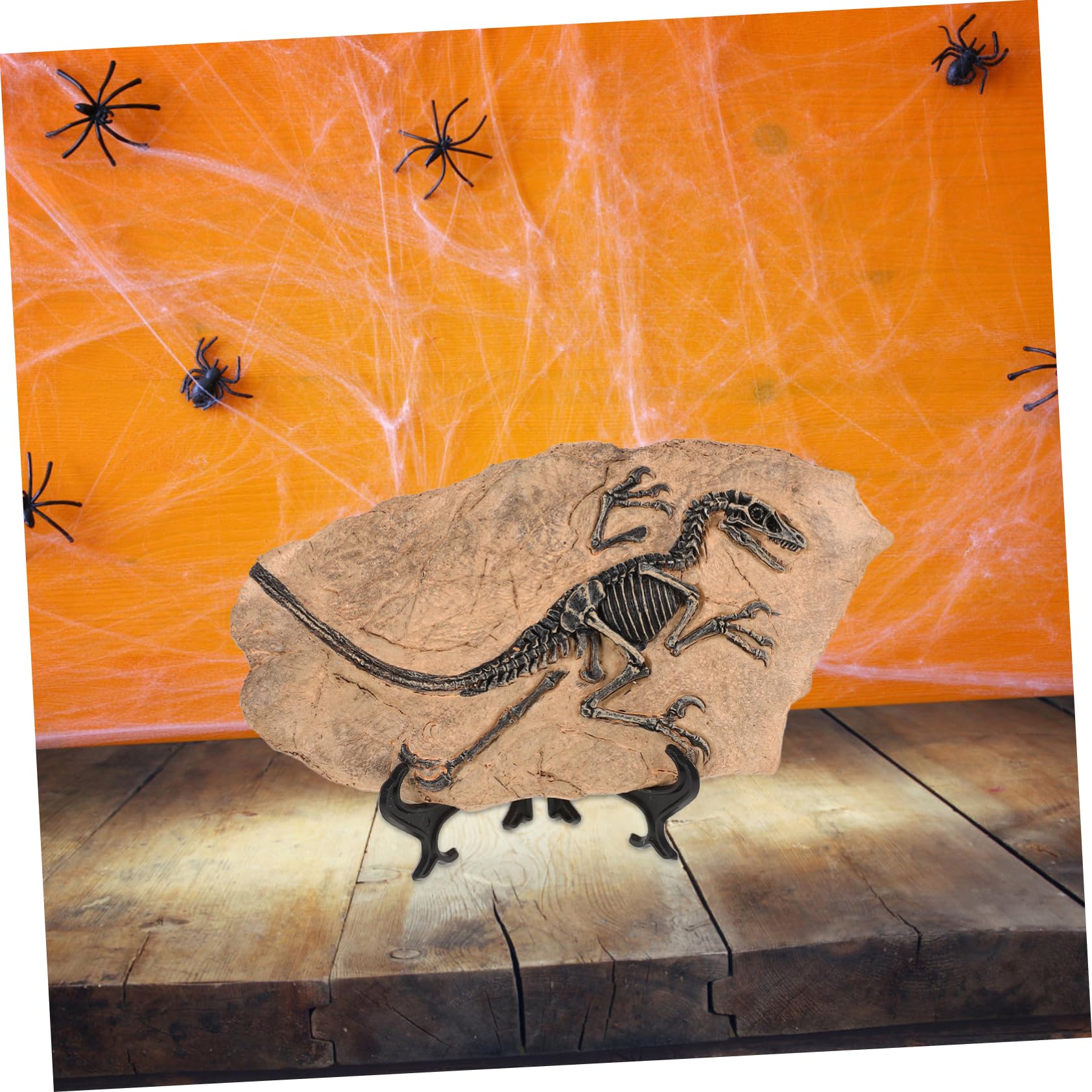 Set di 1 Modello di Fossile di Dinosauro in Resina Superficie Liscia, Decorazione Educativa per Compleanni e Regalo per Ragazzo Ragazza